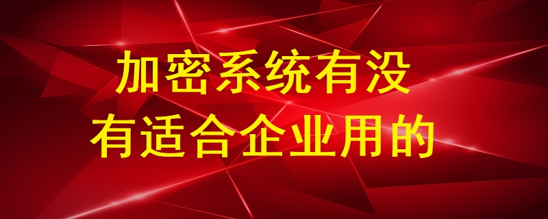 加密系統(tǒng)有沒有適合企業(yè)用的？