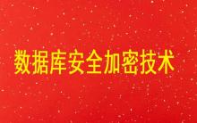 數(shù)據(jù)庫安全加密技術